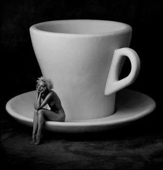 photo by Albert Watson